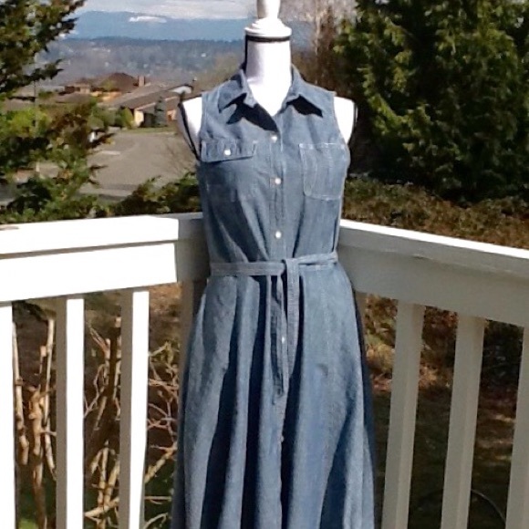 denim shirtwaist dress